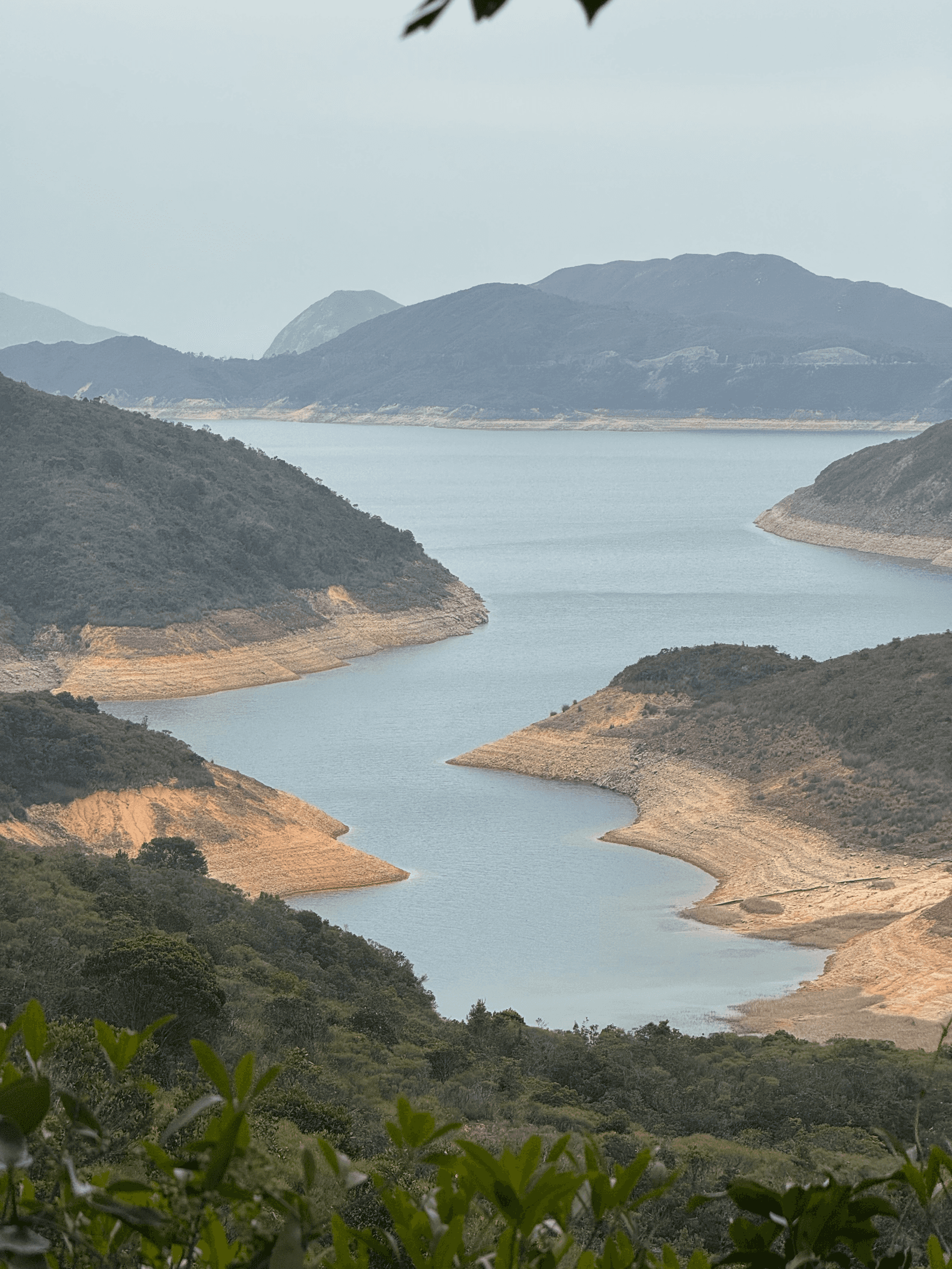 IMG_8914